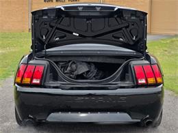1999 Ford Mustang SVT Cobra (CC-2062950) for sale in Hope Mills, North Carolina