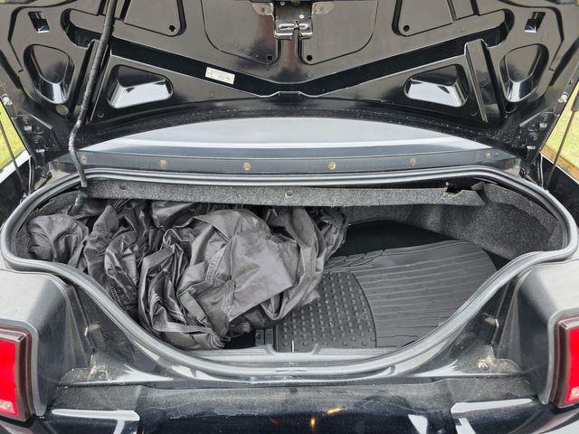 1999 Ford Mustang SVT Cobra (CC-2062950) for sale in Hope Mills, North Carolina