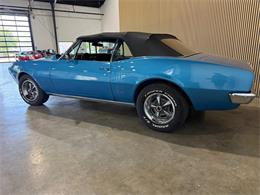 1967 Pontiac Firebird (CC-2063019) for sale in Santa Rosa, Florida