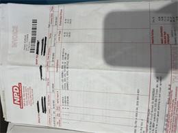 1967 Pontiac Firebird (CC-2063019) for sale in Santa Rosa, Florida