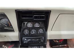 1980 Chevrolet Corvette (CC-2063167) for sale in Mankato, Minnesota