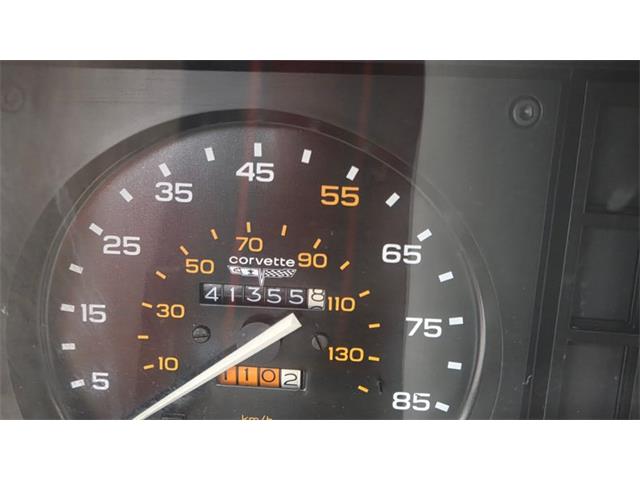 1980 Chevrolet Corvette (CC-2063167) for sale in Mankato, Minnesota