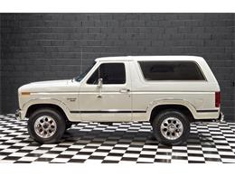 1984 Ford Bronco (CC-2063212) for sale in Addison, Illinois