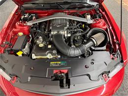 2010 Ford Mustang (CC-2063262) for sale in Mundelein, Illinois
