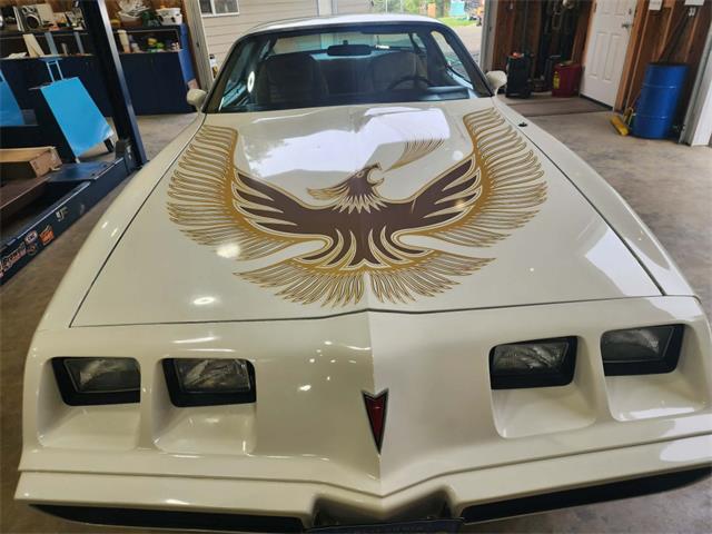 1981 Pontiac Firebird Trans Am (CC-2063304) for sale in Reno, Nevada