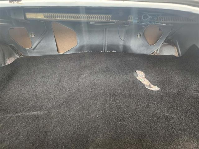 1981 Pontiac Firebird Trans Am (CC-2063304) for sale in Reno, Nevada