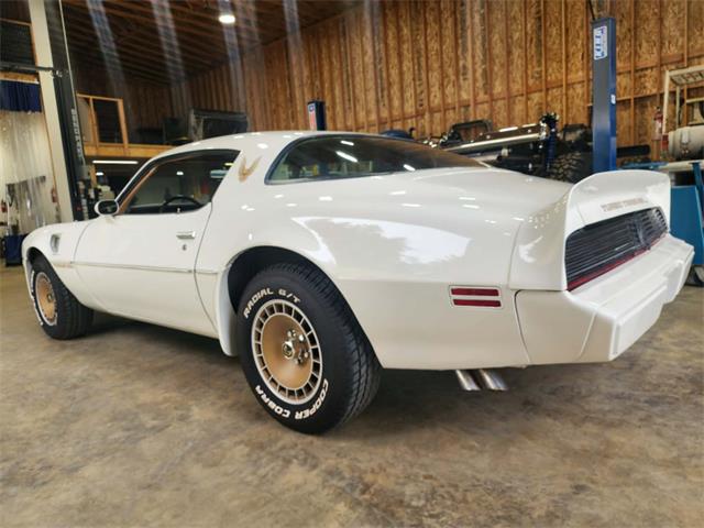 1981 Pontiac Firebird Trans Am (CC-2063304) for sale in Reno, Nevada