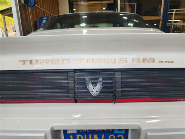 1981 Pontiac Firebird Trans Am (CC-2063304) for sale in Reno, Nevada