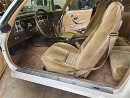 1981 Pontiac Firebird Trans Am (CC-2063304) for sale in Reno, Nevada