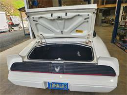 1981 Pontiac Firebird Trans Am (CC-2063304) for sale in Reno, Nevada