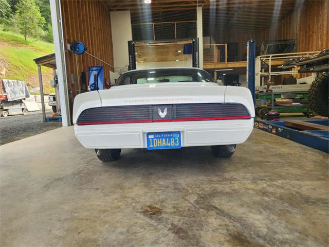 1981 Pontiac Firebird Trans Am (CC-2063304) for sale in Reno, Nevada