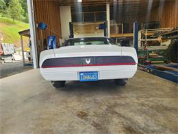 1981 Pontiac Firebird Trans Am (CC-2063304) for sale in Reno, Nevada