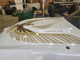 1981 Pontiac Firebird Trans Am (CC-2063304) for sale in Reno, Nevada