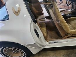 1981 Pontiac Firebird Trans Am (CC-2063304) for sale in Reno, Nevada