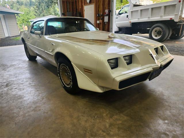 1981 Pontiac Firebird Trans Am (CC-2063304) for sale in Reno, Nevada
