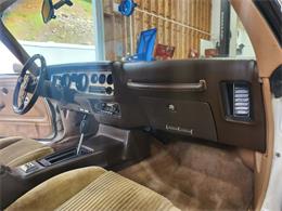 1981 Pontiac Firebird Trans Am (CC-2063304) for sale in Reno, Nevada