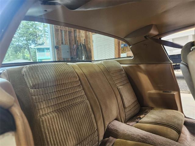 1981 Pontiac Firebird Trans Am (CC-2063304) for sale in Reno, Nevada