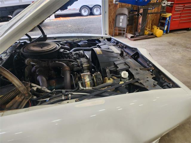 1981 Pontiac Firebird Trans Am (CC-2063304) for sale in Reno, Nevada