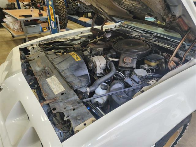 1981 Pontiac Firebird Trans Am (CC-2063304) for sale in Reno, Nevada