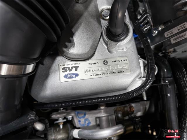 2003 Ford Mustang SVT Cobra (CC-2063713) for sale in Glen Ellyn, Illinois