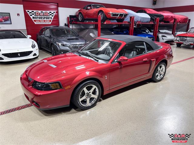 2003 Ford Mustang SVT Cobra (CC-2063713) for sale in Glen Ellyn, Illinois