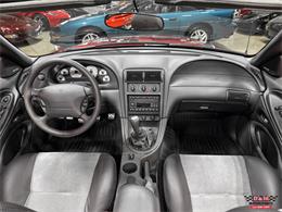 2003 Ford Mustang SVT Cobra (CC-2063713) for sale in Glen Ellyn, Illinois