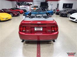 2003 Ford Mustang SVT Cobra (CC-2063713) for sale in Glen Ellyn, Illinois