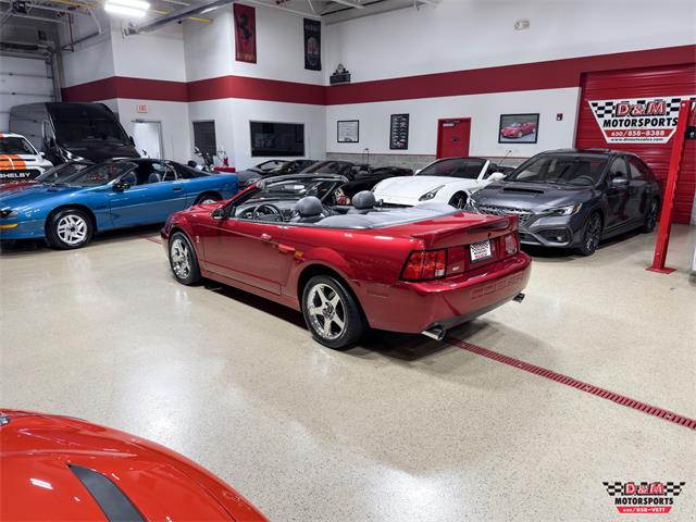 2003 Ford Mustang SVT Cobra (CC-2063713) for sale in Glen Ellyn, Illinois