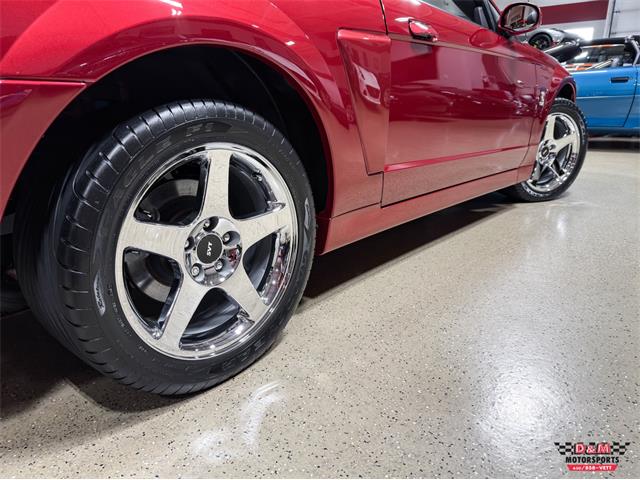 2003 Ford Mustang SVT Cobra (CC-2063713) for sale in Glen Ellyn, Illinois