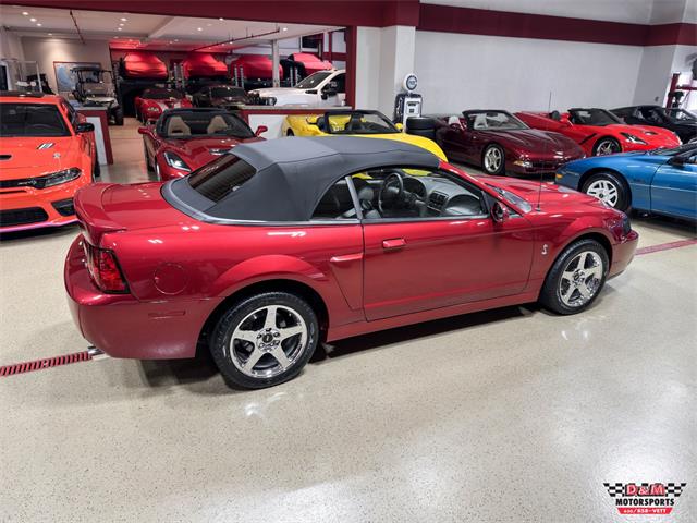 2003 Ford Mustang SVT Cobra (CC-2063713) for sale in Glen Ellyn, Illinois