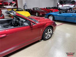 2003 Ford Mustang SVT Cobra (CC-2063713) for sale in Glen Ellyn, Illinois