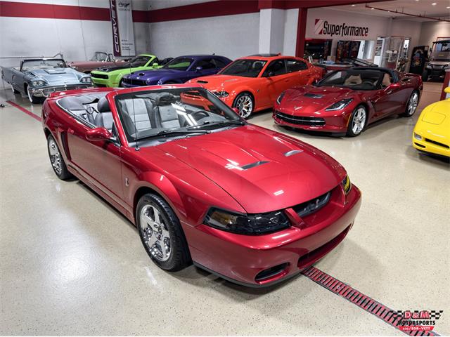 2003 Ford Mustang SVT Cobra (CC-2063713) for sale in Glen Ellyn, Illinois