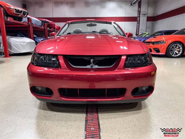 2003 Ford Mustang SVT Cobra (CC-2063713) for sale in Glen Ellyn, Illinois