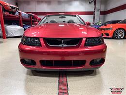 2003 Ford Mustang SVT Cobra (CC-2063713) for sale in Glen Ellyn, Illinois