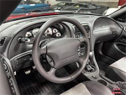 2003 Ford Mustang SVT Cobra (CC-2063713) for sale in Glen Ellyn, Illinois