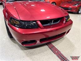 2003 Ford Mustang SVT Cobra (CC-2063713) for sale in Glen Ellyn, Illinois