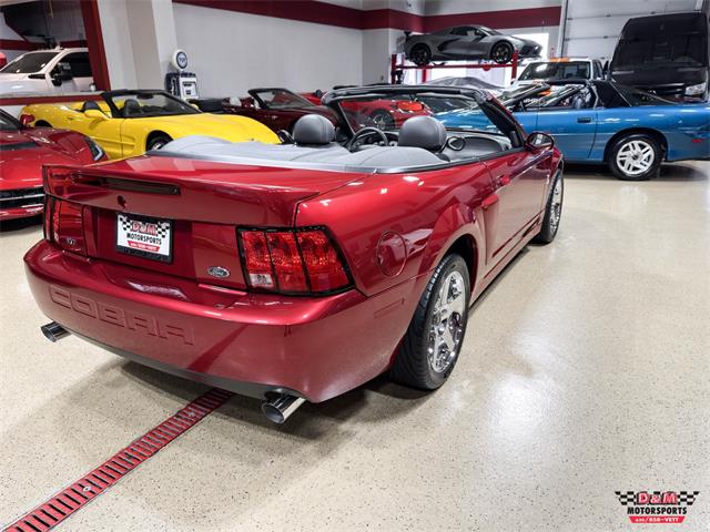 2003 Ford Mustang SVT Cobra (CC-2063713) for sale in Glen Ellyn, Illinois