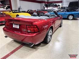 2003 Ford Mustang SVT Cobra (CC-2063713) for sale in Glen Ellyn, Illinois