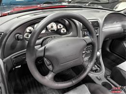 2003 Ford Mustang SVT Cobra (CC-2063713) for sale in Glen Ellyn, Illinois