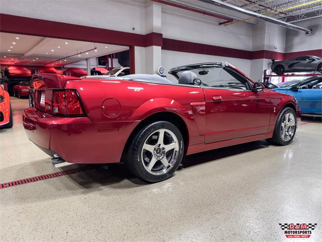2003 Ford Mustang SVT Cobra (CC-2063713) for sale in Glen Ellyn, Illinois