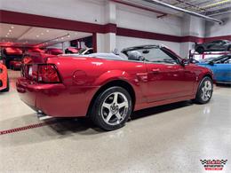 2003 Ford Mustang SVT Cobra (CC-2063713) for sale in Glen Ellyn, Illinois