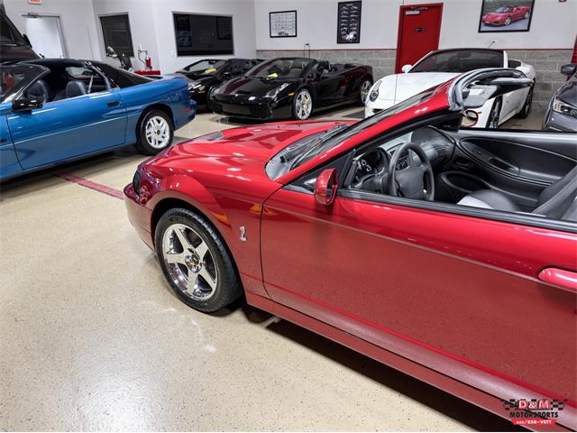 2003 Ford Mustang SVT Cobra (CC-2063713) for sale in Glen Ellyn, Illinois