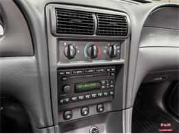 2003 Ford Mustang SVT Cobra (CC-2063713) for sale in Glen Ellyn, Illinois