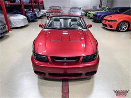 2003 Ford Mustang SVT Cobra (CC-2063713) for sale in Glen Ellyn, Illinois
