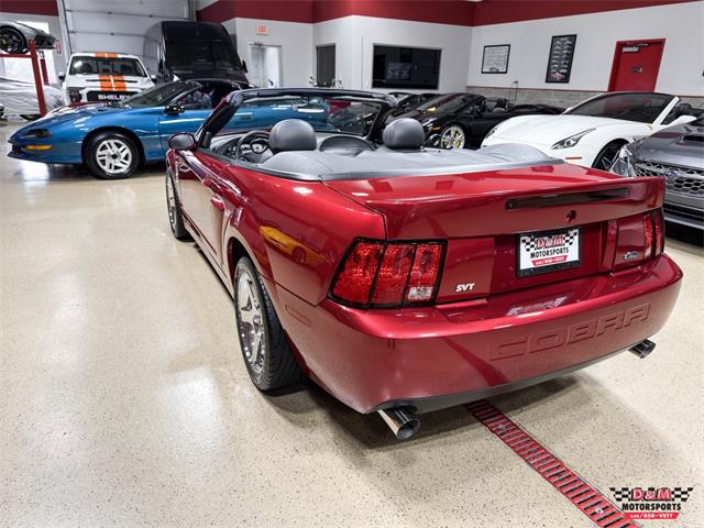 2003 Ford Mustang SVT Cobra (CC-2063713) for sale in Glen Ellyn, Illinois