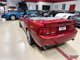 2003 Ford Mustang SVT Cobra (CC-2063713) for sale in Glen Ellyn, Illinois