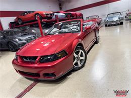 2003 Ford Mustang SVT Cobra (CC-2063713) for sale in Glen Ellyn, Illinois