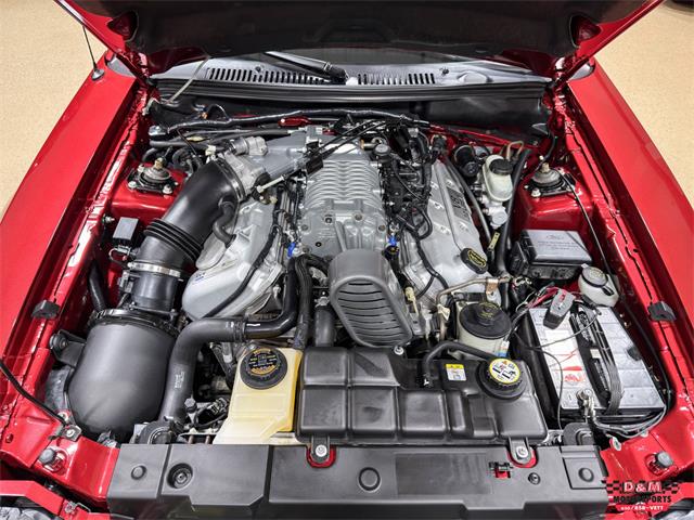 2003 Ford Mustang SVT Cobra (CC-2063713) for sale in Glen Ellyn, Illinois