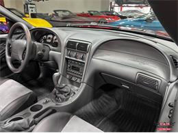 2003 Ford Mustang SVT Cobra (CC-2063713) for sale in Glen Ellyn, Illinois