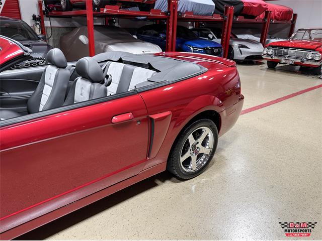 2003 Ford Mustang SVT Cobra (CC-2063713) for sale in Glen Ellyn, Illinois